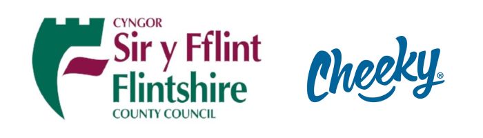 Flintshire Period Scheme