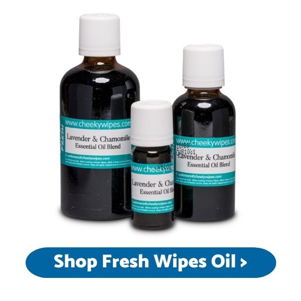 Shop antiseptic fresh wipes oil