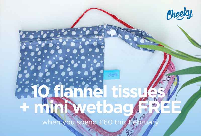 Spend 60 and get 10 flannel wipes and bag free