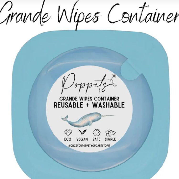 the-best-baby-wipes-containers