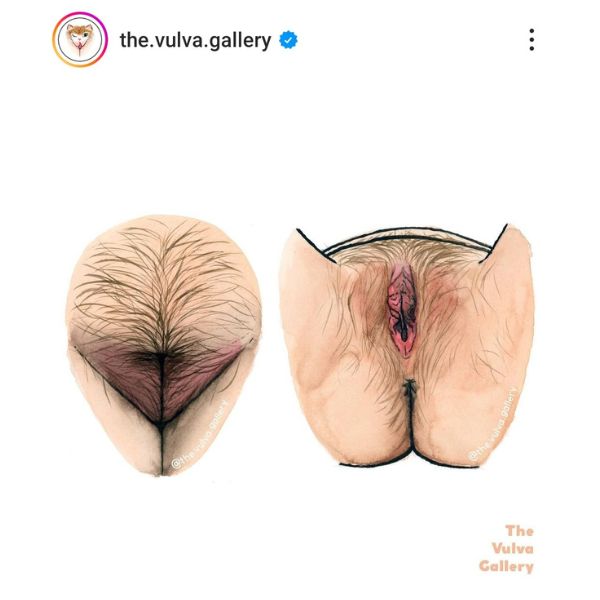 the.vulva.gallery