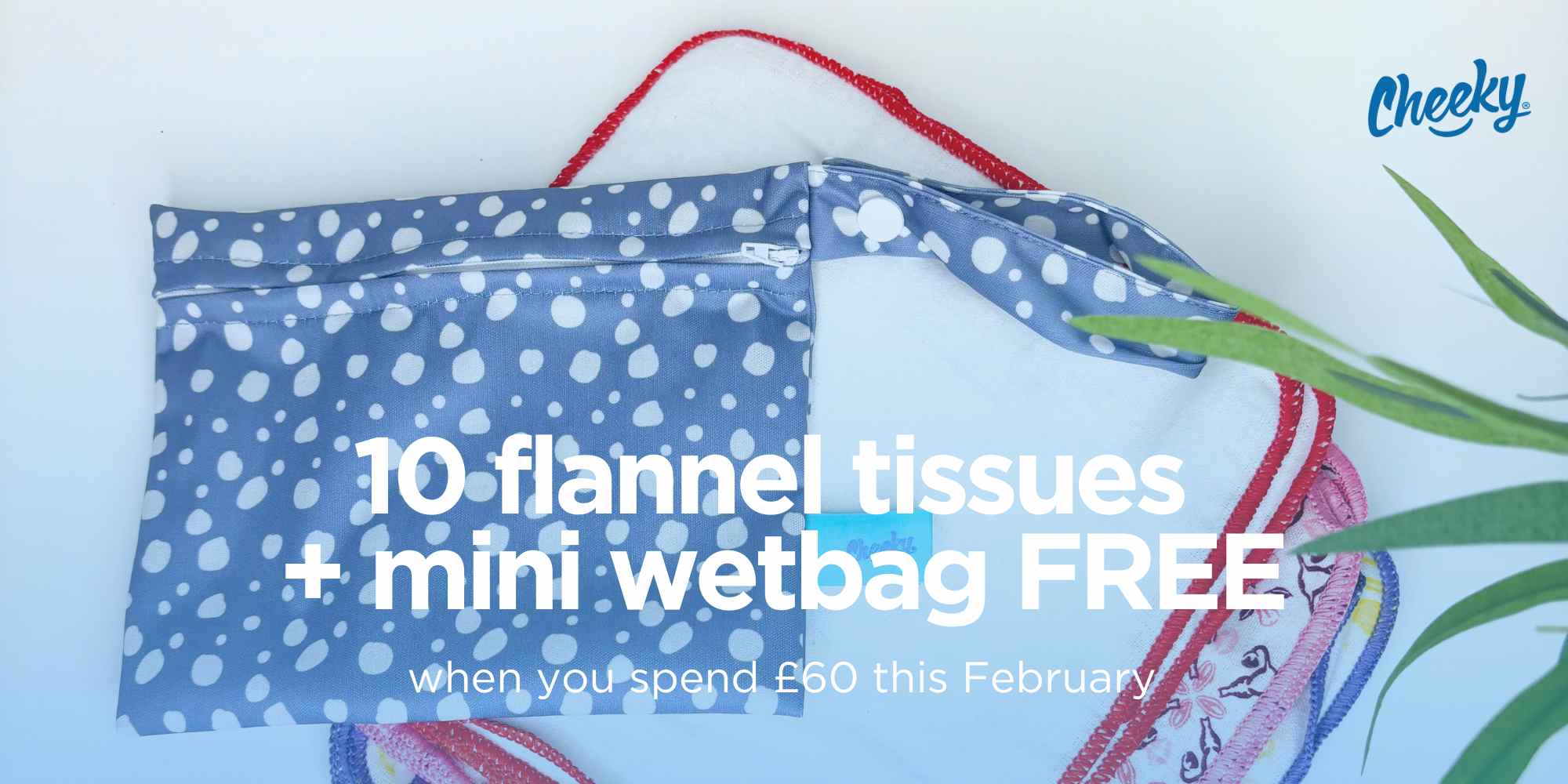 Spend 60 and get 10 flannel wipes and bag free